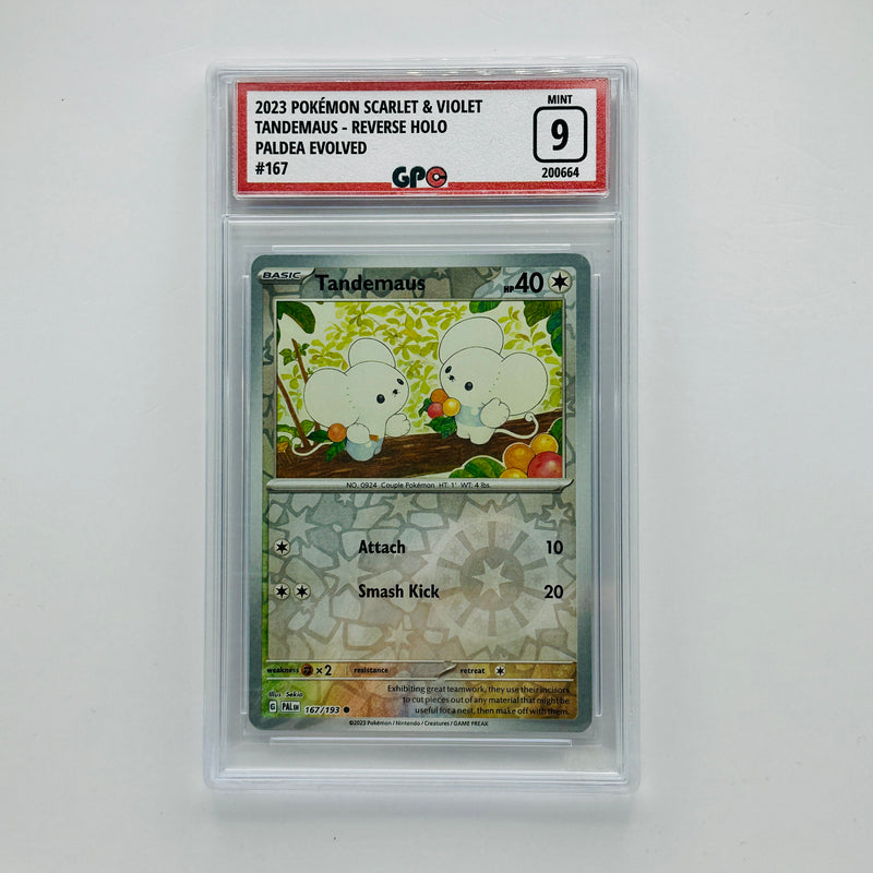 GPC 9 Tandemaus Reverse Holo #167 2023 S&V Series Paldea Evolved Set
