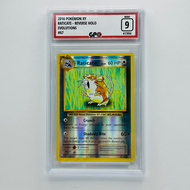 GPC 9 Raticate Reverse Holo #67 2016 XY Series Evolutions